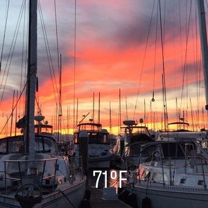 Meet your Posher, Alison